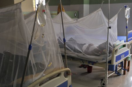 Foto de 11 julio 2023 Sylhet-Bangladesh: Las personas con dengue reciben tratamiento en el Dengue Corner del Hospital Sylhet MAG Osmani Medical College, Bangladesh. Más de 6 pacientes están en tratamiento en esta esquina del dengue - Imagen libre de derechos