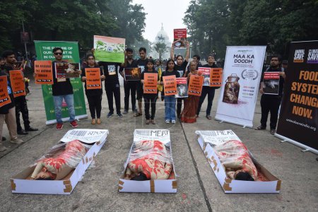 Photo for August 15, 2023, Kolkata, India. Animal lover activists hold a protest demonstration with symbolic human flesh in trays, a poignant visual representation of animals subjected to horrors of factory farming and posters against animal exploitation - Royalty Free Image