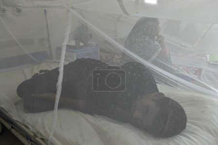 Téléchargez les photos : 11 juillet 2023 Sylhet-Bangladesh : Les personnes atteintes de dengue reçoivent un traitement au coin de la dengue du Sylhet MAG Osmani Medical College Hospital, Bangladesh. Plus de 6 patients sont actuellement sous traitement dans ce coin de la Dengue - en image libre de droit
