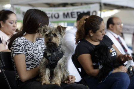 Photo for June 27, 2023, Mexico City, Mexico: Persons attend with  their dogs to vacinate them during anti-rabies vaccine campaign at a vaccination center at esplanade of the Iztapalapa City Hall. on June 27, 2023 in Mexico City, Mexico - Royalty Free Image
