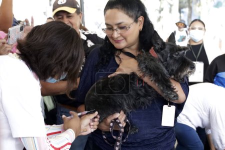 Foto de 27 de junio de 2023, Ciudad de México, México: Las personas asisten con sus perros para desalojarlos durante la campaña de vacunación contra la rabia en un centro de vacunación en la explanada del Ayuntamiento de Iztapalapa. el 27 de junio de 2023 en Ciudad de México, México - Imagen libre de derechos