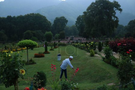 Photo for August 23,2023, Srinagar Kashmir, India : A man exercises in the Nishat Garden during early morning in Srinagar. On August 23,2023 in Srinagar Kashmir, India - Royalty Free Image