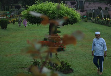 Téléchargez les photos : 23 août 2023, Srinagar Cachemire, Inde : Des gens font du jogging dans le jardin de Nishat tôt le matin à Srinagar. Le 23 août 2023 à Srinagar Cachemire, Inde. (Photo de Firdous Nazir / Eyepix Group - en image libre de droit