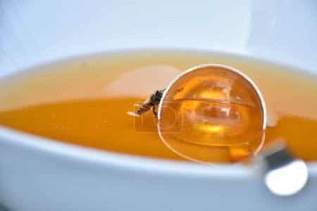 Foto de Una abeja se ve en un plato con miel - Imagen libre de derechos