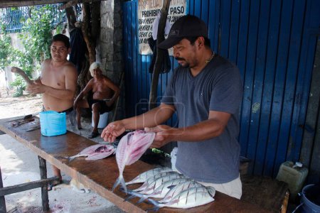 Foto de ACAPULCO, MÉXICO - 25 DE AGOSTO: Pescadores del pueblo Jardines Mangos en Acapulco en el estado de Guerrero, durante la limpieza de los peces para ofrecerlos a los clientes - Imagen libre de derechos