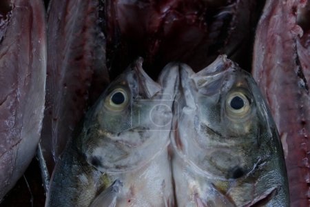 Téléchargez les photos : ACAPULCO, MEXIQUE - 25 AOÛT : Pêcheurs de la ville Jardines Mangos à Acapulco dans l'état de Guerrero, lors du nettoyage du poisson pour les offrir aux clients - en image libre de droit