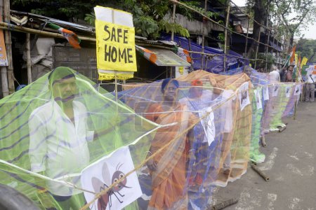Téléchargez les photos : 25 septembre 2023, Kolkata, Inde : Des militants du Congrès se tiennent à l'intérieur d'une moustiquaire pendant une manifestation contre le nombre croissant de cas de dengue dans l'État - en image libre de droit
