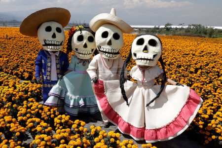 Foto de 19 de octubre de 2023, Ciudad de México, México: Personas caracterizadas por la muerte en los campos de flores de cempasuchil en el marco de la festividad del Día de los Muertos en el ejido en San Gregorio Atlapulco en la oficina del alcalde de Xochimilco en la Ciudad de México - Imagen libre de derechos