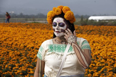 Téléchargez les photos : 19 octobre 2023, Mexico, Mexique : Une femme qualifiée de catrina ou de mort dans les champs de la fleur de cempasuchil dans le cadre de la fête de la Journée des Morts dans l'ejido à San Gregorio Atlapulco dans le bureau du maire de Xochimilco - en image libre de droit