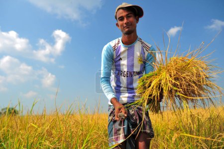 Téléchargez les photos : 08 novembre 2023 Sylhet-Bangladesh Un jeune agriculteur qui est un grand fan de Messi de l'équipe de football argentine qui porte toujours le maillot de Lionel Messi de l'Argentine - en image libre de droit