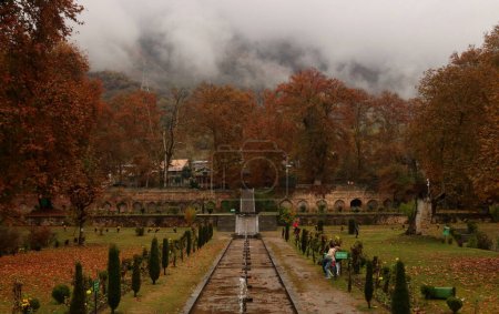 Foto de 10 de noviembre de 2023, Srinagar Cachemira, India: Una vista del Jardín Mughal cubierto con hojas caídas de poderosos árboles Chinar mientras la gente visita en Nishat en Srinagar - Imagen libre de derechos