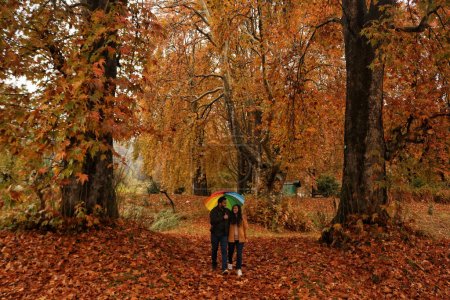 Foto de 10 de noviembre de 2023, Srinagar Cachemira, India: Los visitantes caminan en el Jardín Mughal cubierto con hojas caídas de poderosos árboles Chinar en Nishat en Srinagar. Los colores otoñales están alcanzando su pico con los árboles, particularmente el Chinar - Imagen libre de derechos