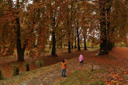 Téléchargez les photos : 10 novembre 2023, Srinagar Cachemire, Inde : Les visiteurs prennent des photos au jardin moghol recouvert de feuilles tombées de puissants arbres chinois à Nishat à Srinagar - en image libre de droit