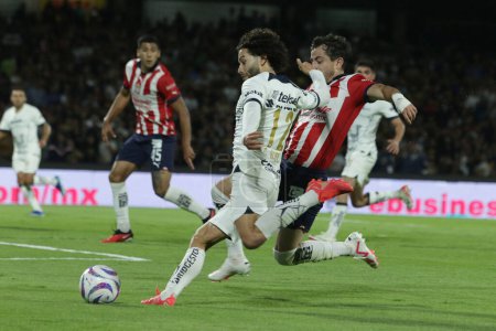 Photo for November 11, 2023, Mexico City, Mexico: Csar Huerta of Pumas (L) in action against   Alan Mozo of Chivas during the match of Pumas vs Chivas de Guadalajara of the 2023 Apertura Tournament of the MX League, at University Olympic Stadium - Royalty Free Image