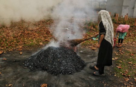 Photo for November 27,2023, Srinagar Kashmir, India : A Kashmiri woman burns dry chinar leaves in Srinagar. Kashmiris in these days collect dried leaves fallen from trees in order to burn them to produce charcoal - Royalty Free Image