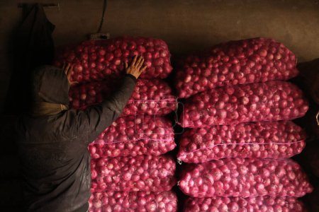 Téléchargez les photos : 15 décembre 2023, Srinagar Cachemire, Inde : Un vendeur organise des oignons dans un marché à Srinagar. Le 8 décembre, l'Inde prend des mesures pour assurer un approvisionnement suffisant en oignon et une stabilité des prix au milieu du taux actuel de 60 par kg" - en image libre de droit