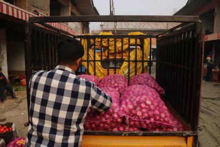Photo for December 15,2023, Srinagar Kashmir, India : A vendor arranges onions at a market in Srinagar. On December 8, India Takes Measures to Ensure Adequate Onion Supply and Price Stability Amidst Current 60 per kg Rate" - Royalty Free Image