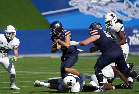 Photo for December 16, 2023, McKinney, Texas, United States: A player of Colorado School of Mines in Action during the the NCAA Division II Football Championship between Harding University and Colorado School of Mines played at McKinney ISD Stadium - Royalty Free Image