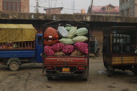 Foto de Diciembre 15,2023, Srinagar Cachemira, India: Un vendedor arregla cebollas en un mercado en Srinagar. El 8 de diciembre, la India adoptó medidas para garantizar el suministro adecuado de cebolla y la estabilidad de precios en medio de la actual tasa de 60 por kg" - Imagen libre de derechos