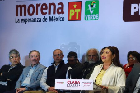 Photo for December 17, 2023 in Mexico City, Mexico: The sole pre-candidate for the Morena, PT and PVM alliance for the Head of Government of Mexico City, Clara Brugada Molina, announces her campaign advisory council, at the Mexico City Hilton Hotel. on Decembe - Royalty Free Image