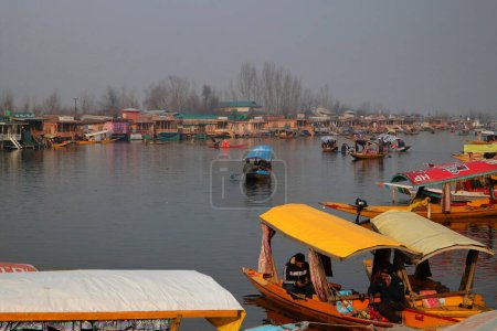 Photo for January 12, 2024, Srinagar Kashmir, India : Tourists enjoy boat rides at Dal lake in Srinagar. Special congregational prayers known as "Salatul Istisqa" were organized by Anjuman Aquaf Jamia Masjid for respite from the prevailing dry weather - Royalty Free Image