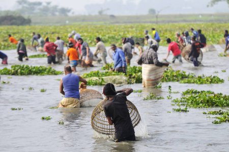 Foto de 15 enero 2024 Bangladesh: Pueblos rurales armados con trampas de bambú y red de pesca artesanal participan en un festival de pesca de polo bawa de 100 años de duración en el beel Gowahori de Biswanath upazila de Sylhet, Bangladesh. - Imagen libre de derechos