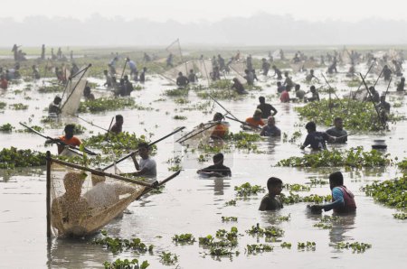 Foto de 15 enero 2024 Bangladesh: Pueblos rurales armados con trampas de bambú y red de pesca artesanal participan en un festival de pesca de polo bawa de 100 años de duración en el beel Gowahori de Biswanath upazila de Sylhet, Bangladesh. Los locales dijeron: - Imagen libre de derechos