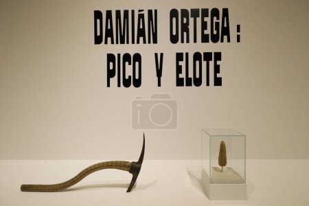 Téléchargez les photos : Le 9 avril 2024. Mexico, Mexique : Une œuvre d'art de Damian Ortega est vue lors d'une visite de l'exposition Pico y Elote au Musée Palacio de Bellas Artes. - en image libre de droit