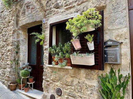 Photo for Cacti and edible herbs on windowsills and at the entrance to the old house. Mailbox on the wall of the house. Sarteano, Italy Tuscany. - Royalty Free Image