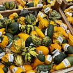 Cute small pumpkins in the store. Idea for decoration. High quality photo