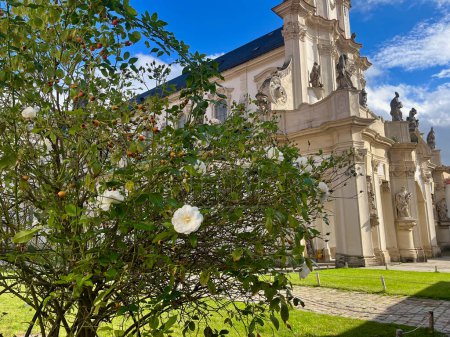 Foto de Monasterio estatal cisterciense de Osek, iglesia delantera de Ossegg, República Checa. Un rosal. Foto de alta calidad - Imagen libre de derechos