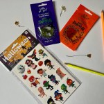 Halloween kit. Transfer tattoos. Glitter cosmetic masks. Pencils and dried flowers. High quality photo