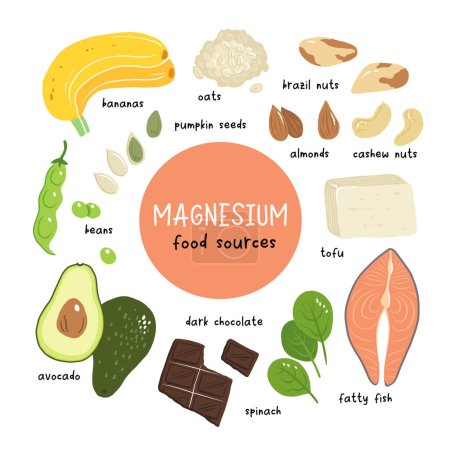 Magnesium Vektor Stock Illustration. Lebensmittel mit hohem Mineralstoffgehalt. fetter Fisch, Tofu, Avocado, Hafer, Spinat, Mandeln, Cashewnüsse, Bananen. Informationsposter. Ernährung, Ernährung.