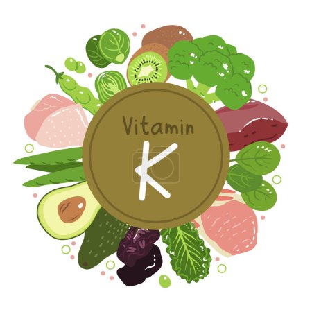 Vitamina k vector stock ilustración. Productos alimenticios con un alto contenido de las vitaminas k1 y k2. ciruelas pasas, hígado, chuletas de cerdo, brócoli, judías verdes y guisantes, col rizada, espinacas y coles de Bruselas.