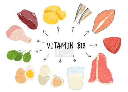 Ilustración de Recogida de alimentos con vitamina B12. queso, huevos, almejas, ternera, pavo, leche, hígado, espinacas, sardinas, atún, salmón. Productos dietéticos, nutrición natural orgánica. ilustración de dibujos animados vector plano - Imagen libre de derechos