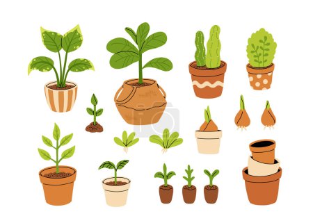 Illustration for Vector set of gardening pots and plants in pots isolated on white background. Bundle of home plants and repotting. Big set of garden elements. - Royalty Free Image