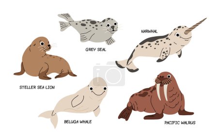 Walrus, White Whale with Narwhal and grey Seal, Beluga, Sea lion Arctic Sea Animals Set. Incredible Marine Life poster for kids. Cute marine mammals.