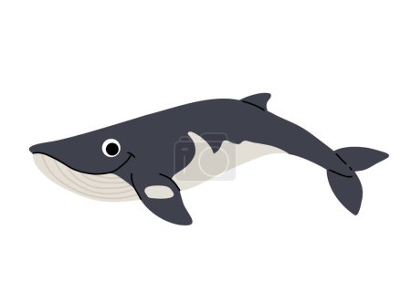 Vector cartoon illustrations of minke whale on a white background. Flat cute icon of whale. Underwater world, ocean, underwater inhabitants.