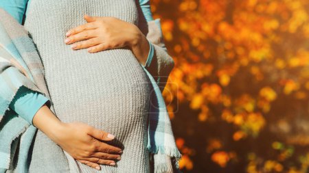 Téléchargez les photos : Woman having happy pregnancy time. Pregnant woman's belly over autumn background. Pregnant woman in touching big belly with hands. Baby expectation. Pregnant woman outdoors in autumn. - en image libre de droit