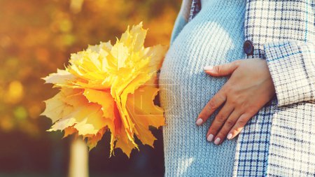Foto de Baby expectation. Pregnant woman outdoors in autumn. Woman having happy pregnancy time. Pregnant woman's belly over autumn background. Pregnant woman in touching big belly with hands. - Imagen libre de derechos