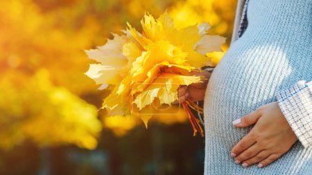 Photo for Pregnant woman in touching big belly with hands. Baby expectation. Pregnant woman outdoors in autumn. Woman having happy pregnancy time. Pregnant woman's belly over autumn background. - Royalty Free Image