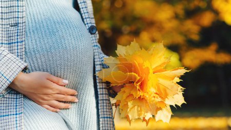 Photo for Pregnant woman in touching big belly with hands. Baby expectation. Pregnant woman outdoors in autumn. Woman having happy pregnancy time. Pregnant woman's belly over autumn background. - Royalty Free Image