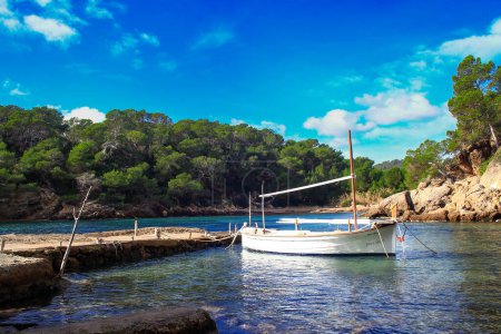 Téléchargez les photos : L'île d'ibiza, un petit bateau dans la mer - en image libre de droit