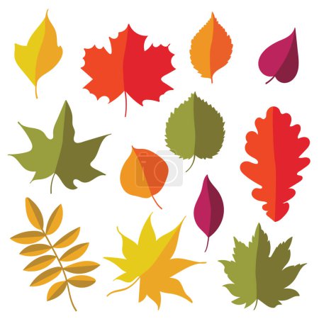 Téléchargez les photos : Illustrations de feuilles d'automne ensemble Simple dessin animé style plat - en image libre de droit
