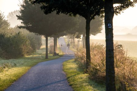 Photo for An avenue under a low sun with early morning fog and a woman walking her dog in the distance. - Royalty Free Image