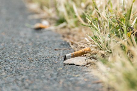 Photo for Burned cigarette filter on the grass covered roadside - Royalty Free Image