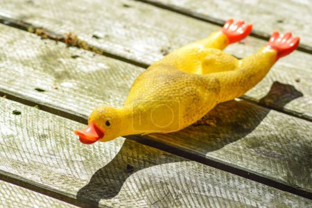 Photo for A yellow dog toy in the shape of a long squeaking duck lies outside in the sun on the veranda - Royalty Free Image