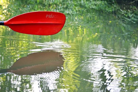 Photo for A red paddle dives into the green, calm waters of the river. - Royalty Free Image