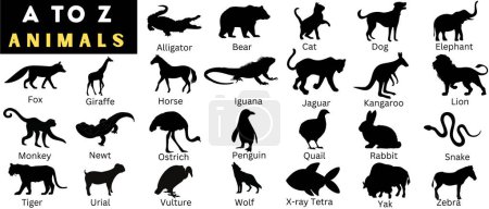 Illustration for A to Z 26 silhouettes of different animals vector illustration.  This illustration is perfect for kids, teachers, animal lovers, and anyone who wants to explore the animal kingdom. Download it now and use it for your next project! - Royalty Free Image