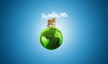 Photo for Manipulation Forest. Tiger on world map. world animal day. world tiger day. manipulation creative. - Royalty Free Image